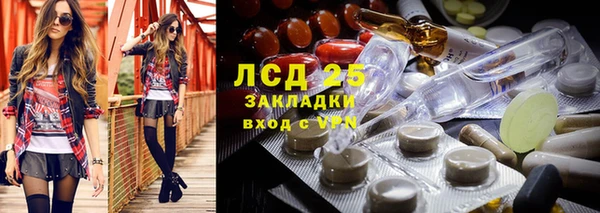 не бодяженный Бородино